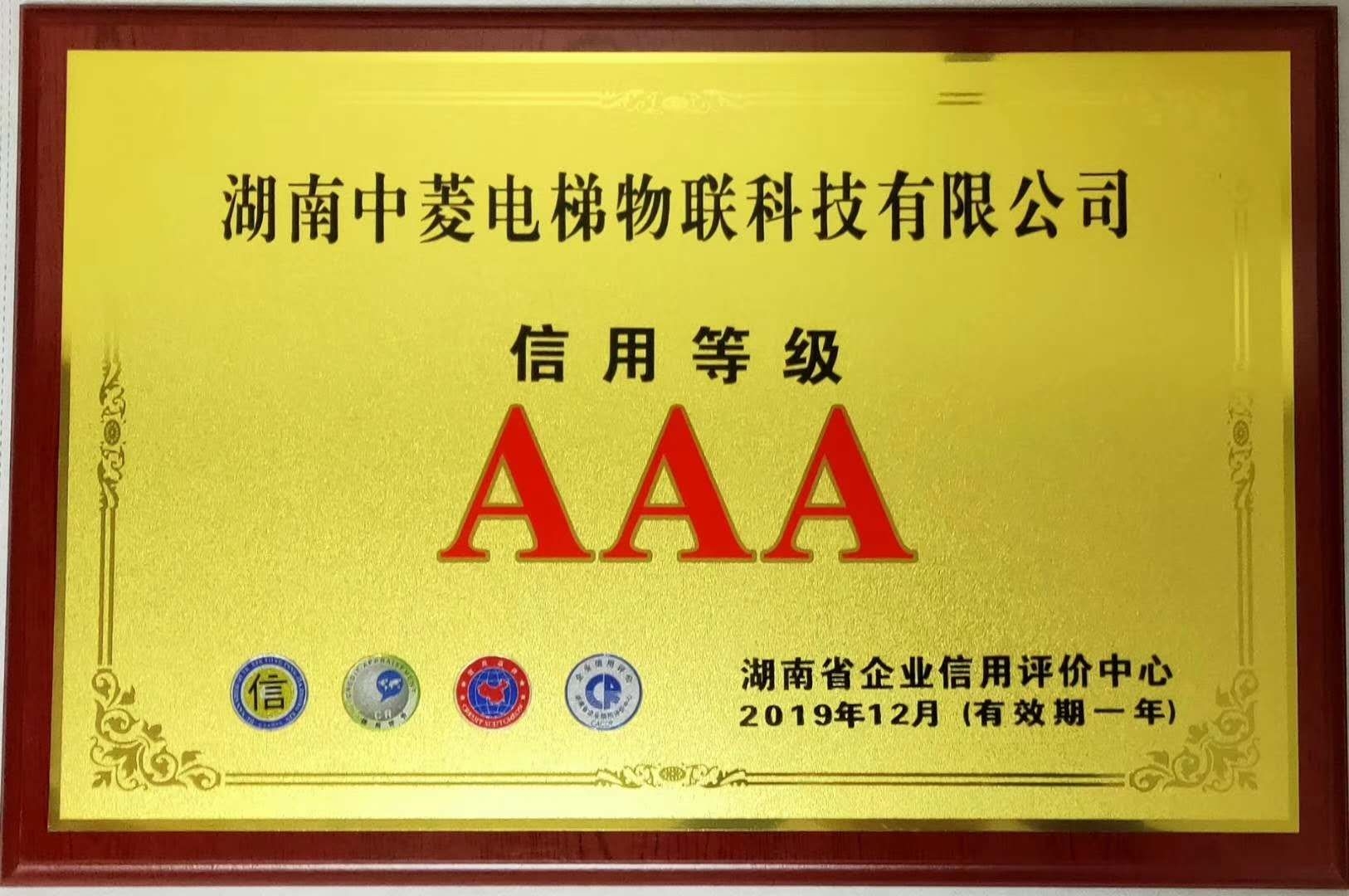 湖南中菱电梯企业风采